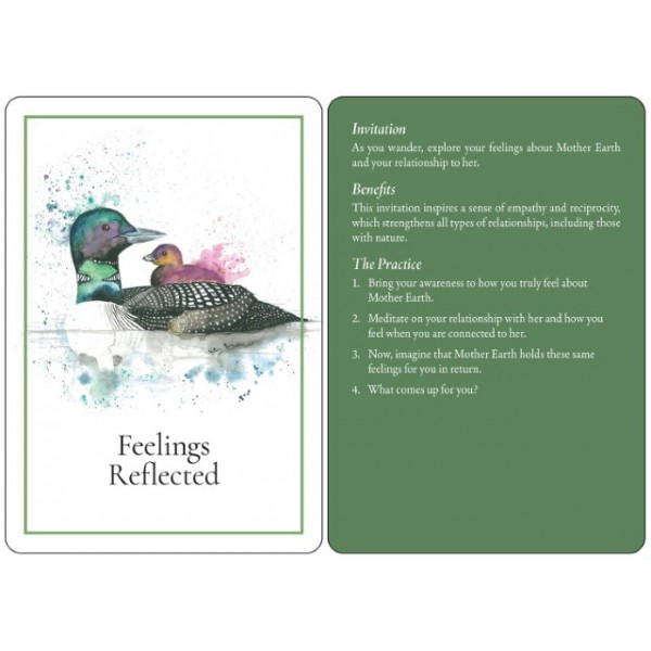 An Invitation to Forest Bathing by Lissa Kennedy - ship in 10-20 business days, supplied by US partner