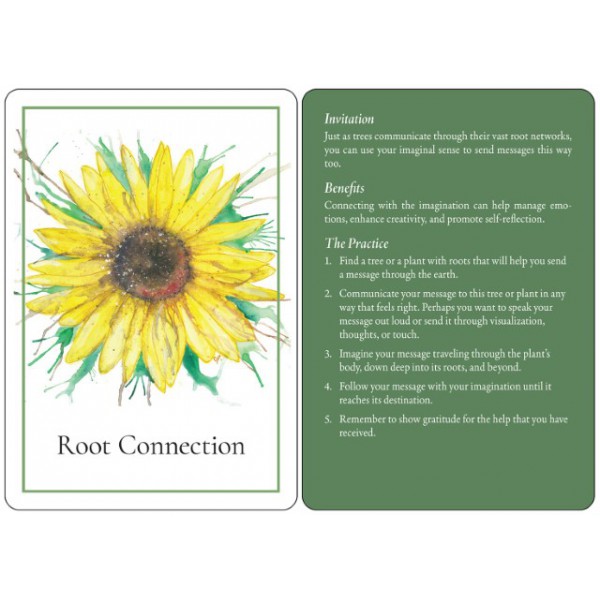 An Invitation to Forest Bathing by Lissa Kennedy - ship in 10-20 business days, supplied by US partner