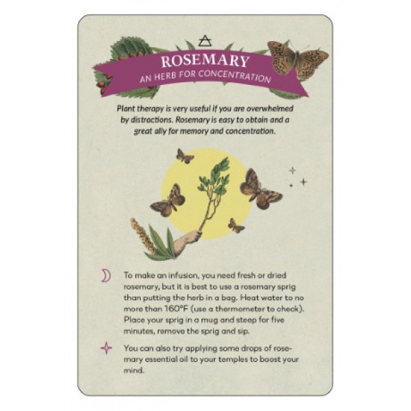 Elemental Spells by Julieta Suarez Valente - ship in 10-20 business days, supplied by US partner