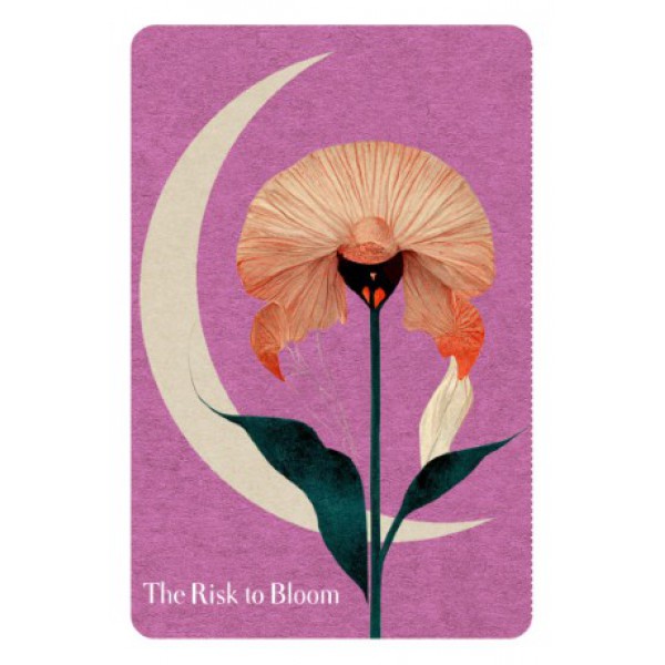 The Book of Awakening Inspiration Deck by Mark Nepo - ship in 10-20 business days, supplied by US partner