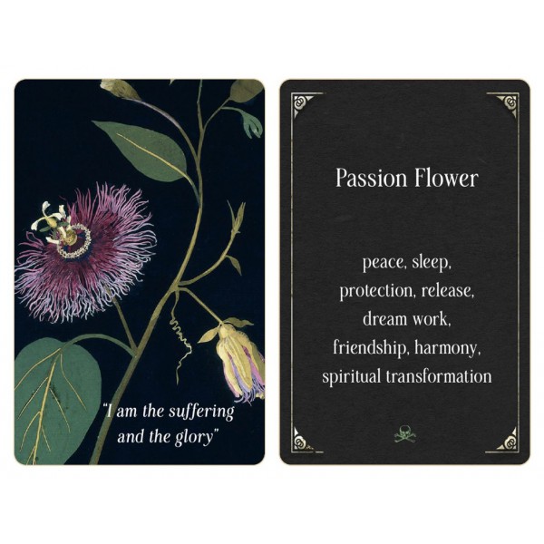 Magic from the Midnight Garden by Wheel/Weiser Red - ship in 10-20 business days, supplied by US partner