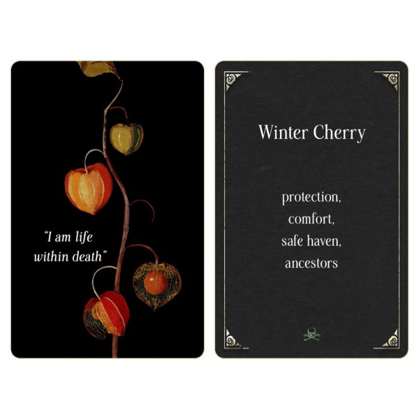 Magic from the Midnight Garden by Wheel/Weiser Red - ship in 10-20 business days, supplied by US partner