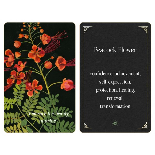 Magic from the Midnight Garden by Wheel/Weiser Red - ship in 10-20 business days, supplied by US partner