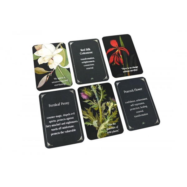 Magic from the Midnight Garden by Wheel/Weiser Red - ship in 10-20 business days, supplied by US partner