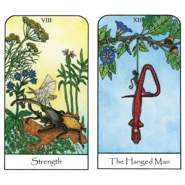 Nature Spirit Tarot: A 78-Card Deck and Book for the Journey of the Soul by Jean Marie Herzel - ship in 10-20 business days, supplied by US partner