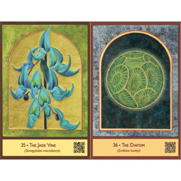 The Sacred Biodiversity Oracle by Angela Manno - ship in 10-20 business days, supplied by US partner