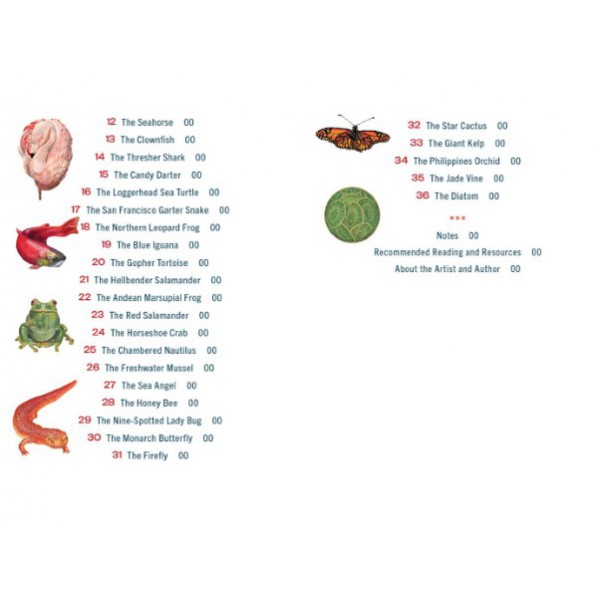 The Sacred Biodiversity Oracle by Angela Manno - ship in 10-20 business days, supplied by US partner