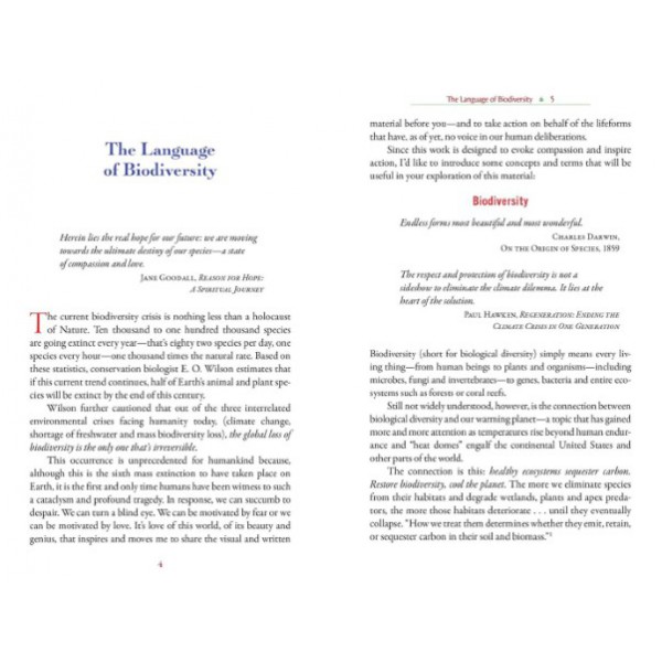 The Sacred Biodiversity Oracle by Angela Manno - ship in 10-20 business days, supplied by US partner