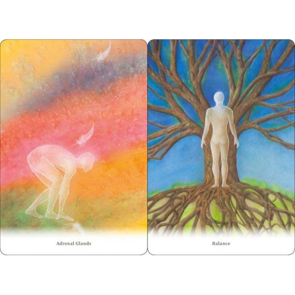 Body Healing Cards by Ewald Kliegel and Anne Heng - ship in 10-20 business days, supplied by US partner