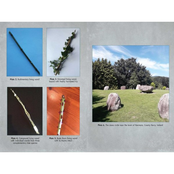 Living Wands of the Druids by Jon G Hughes - ship in 10-20 business days, supplied by US partner