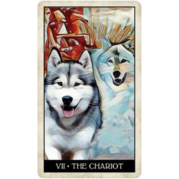 Wise Dog Tarot by M J Cullinane - ship in 10-20 business days, supplied by US partner