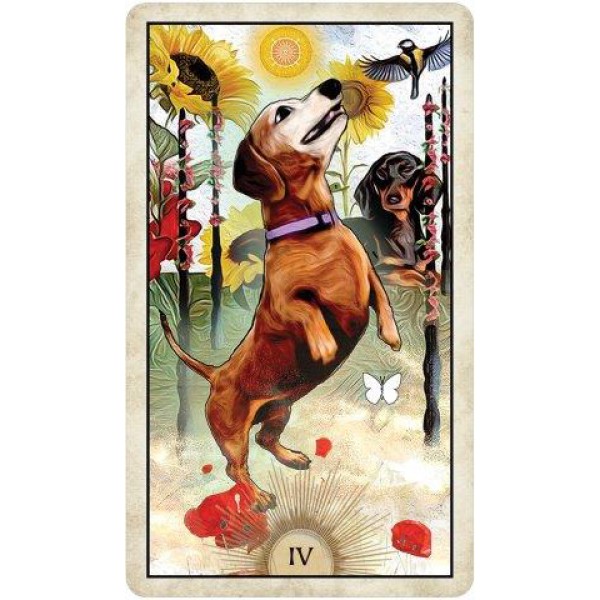 Wise Dog Tarot by M J Cullinane - ship in 10-20 business days, supplied by US partner