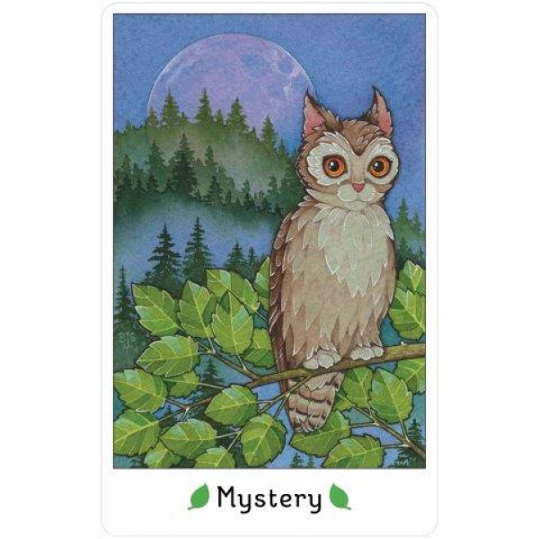 Affirmations of the Fairy Cats Deck and Book Set by Brenda June Saydak - ship in 10-20 business days, supplied by US partner