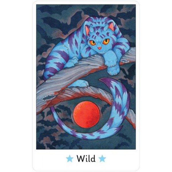 Affirmations of the Fairy Cats Deck and Book Set by Brenda June Saydak - ship in 10-20 business days, supplied by US partner