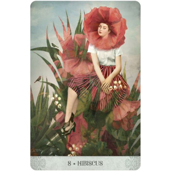 Botanical Dreams Oracle by Lynn Araujo and Catrin Welz-Stein - ship in 10-20 business days, supplied by US partner