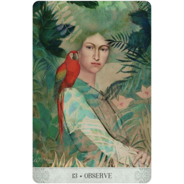 Botanical Dreams Oracle by Lynn Araujo and Catrin Welz-Stein - ship in 10-20 business days, supplied by US partner