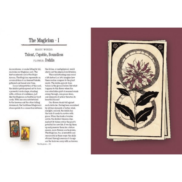 You Will Be Able to Read Tarot by the End of This Book by Nicole Rallis and Peter Henry Reed - ship in 10-20 business days, supplied by US partner