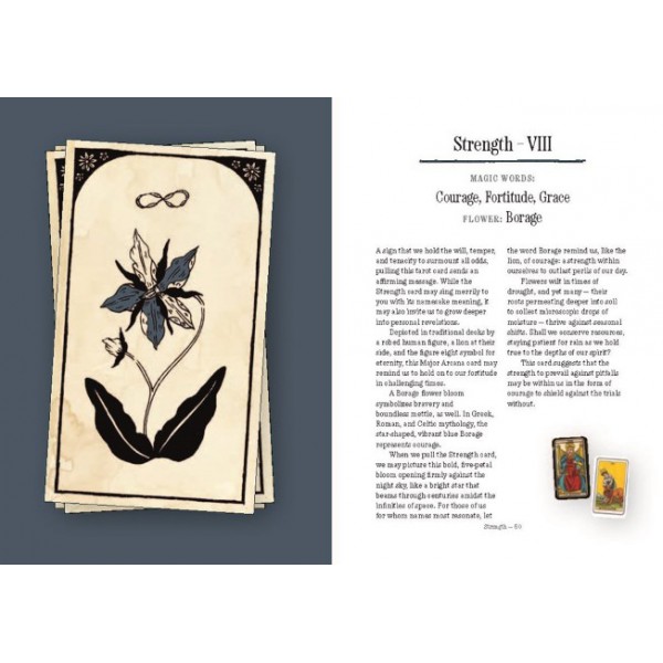 You Will Be Able to Read Tarot by the End of This Book by Nicole Rallis and Peter Henry Reed - ship in 10-20 business days, supplied by US partner