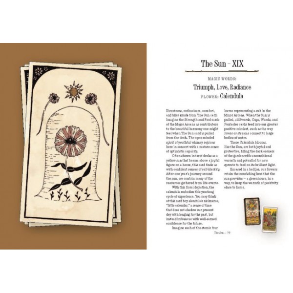 You Will Be Able to Read Tarot by the End of This Book by Nicole Rallis and Peter Henry Reed - ship in 10-20 business days, supplied by US partner