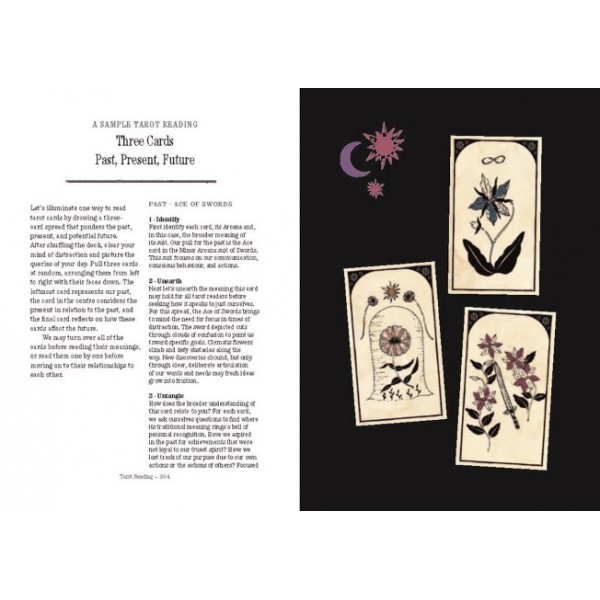 You Will Be Able to Read Tarot by the End of This Book by Nicole Rallis and Peter Henry Reed - ship in 10-20 business days, supplied by US partner