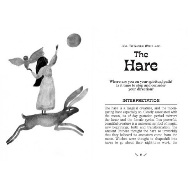 Witch's Shadow Work Oracle by Tijana Lukovic - ship in 10-20 business days, supplied by US partner