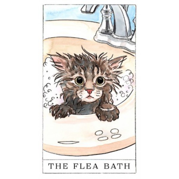 Kitten Oracle by Megan Lynn Kott - ship in 10-20 business days, supplied by US partner