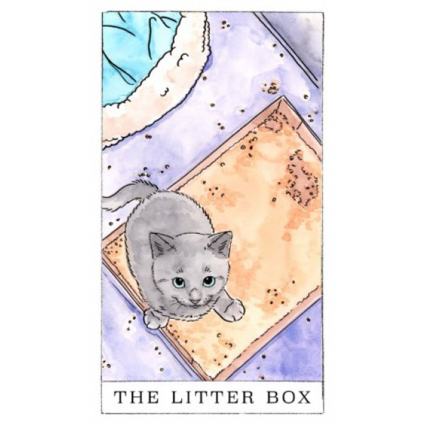 Kitten Oracle by Megan Lynn Kott - ship in 10-20 business days, supplied by US partner