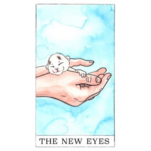 Kitten Oracle by Megan Lynn Kott - ship in 10-20 business days, supplied by US partner