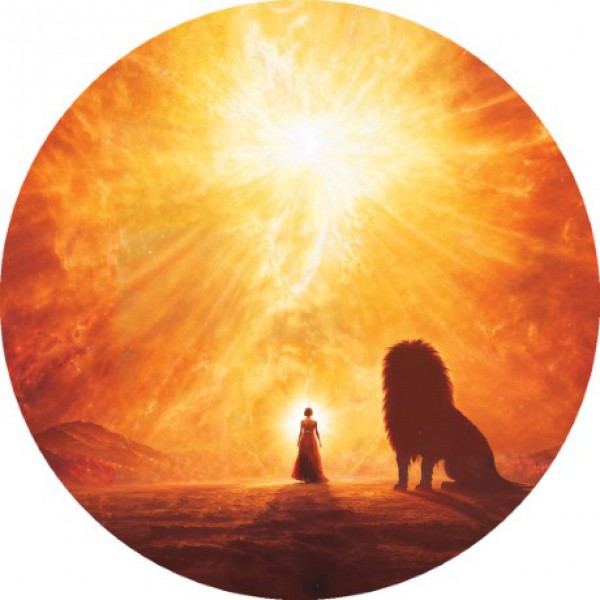 The Dark Moon Oracle by Yasmin Boland - ship in 10-20 business days, supplied by US partner