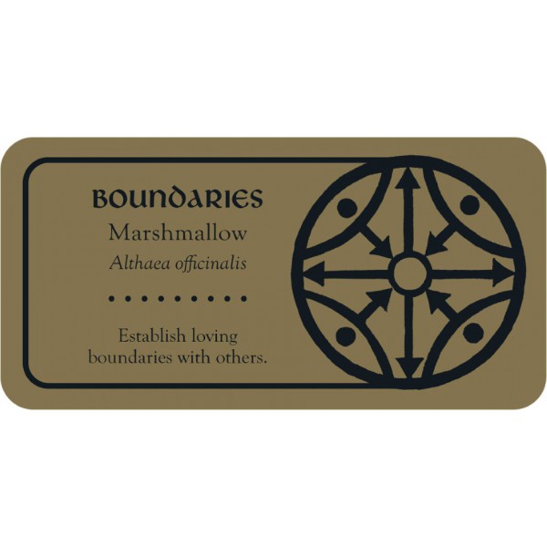 Medieval Herb Sigils (Mini Cards) by Priestess Moon - ship in 10-20 business days, supplied by US partner