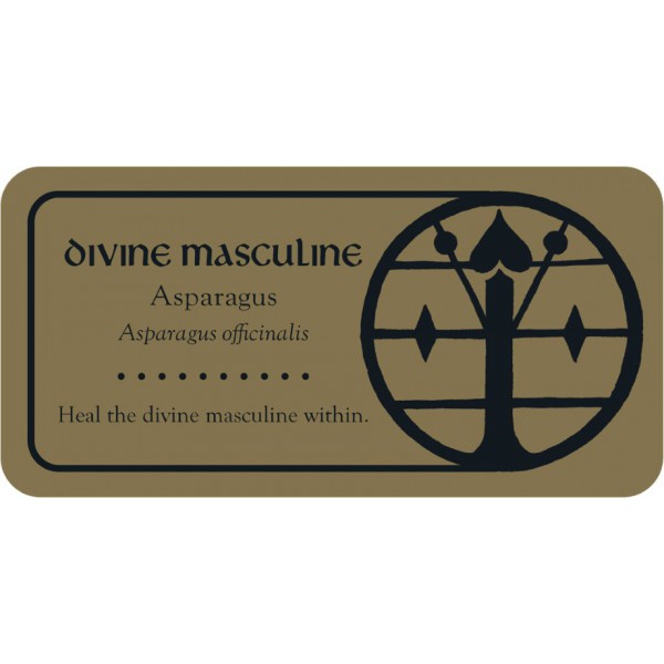 Medieval Herb Sigils (Mini Cards) by Priestess Moon - ship in 10-20 business days, supplied by US partner