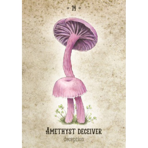 Mushroom Spirit Oracle by Nicola McIntosh - ship in 10-20 business days, supplied by US partner