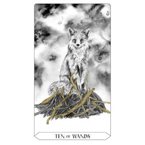 Lumina Tarot by Lauren Aletta and Tegan Swyny - ship in 10-20 business days, supplied by US partner