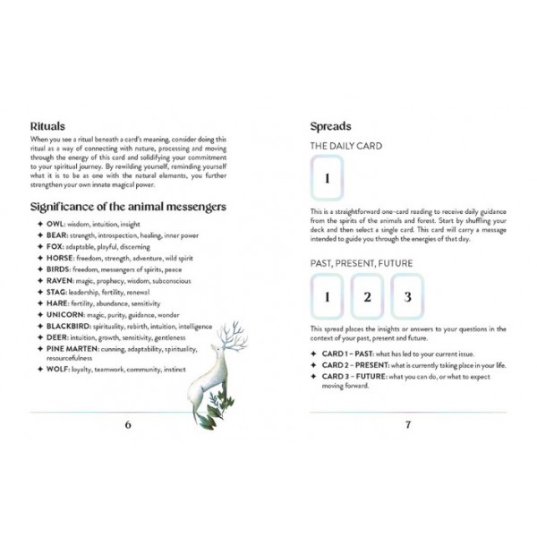 Enchanted Earth Oracle by Jessica Lahoud - ship in 10-20 business days, supplied by US partner