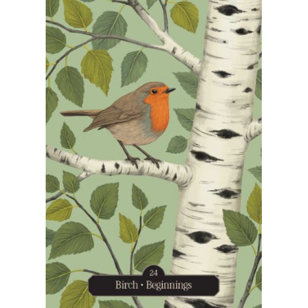 Kate Forsyth's Hedgewitch Oracle by Kate Forsyth - ship in 10-20 business days, supplied by US partner