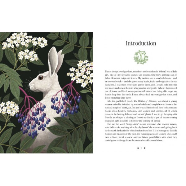 Kate Forsyth's Hedgewitch Oracle by Kate Forsyth - ship in 10-20 business days, supplied by US partner