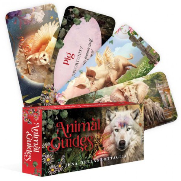 Animal Guides (Mini Cards) by Jena DellaGrottaglia - ship in 10-20 business days, supplied by US partner