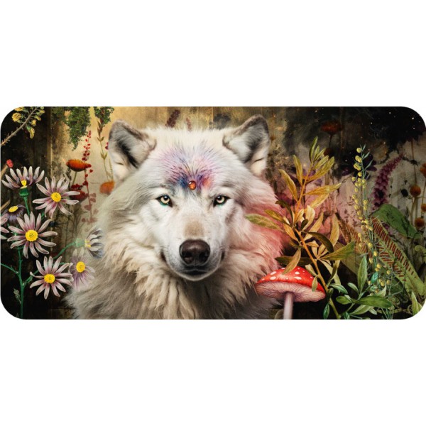 Animal Guides (Mini Cards) by Jena DellaGrottaglia - ship in 10-20 business days, supplied by US partner