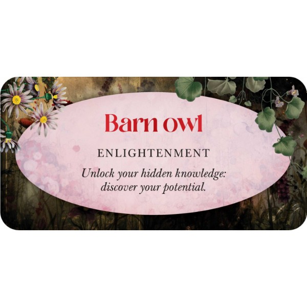 Animal Guides (Mini Cards) by Jena DellaGrottaglia - ship in 10-20 business days, supplied by US partner