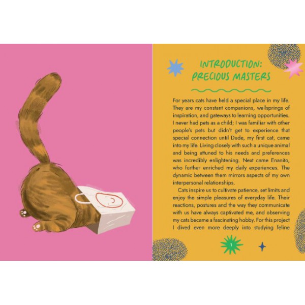 Cat Wisdom Oracle by Albertina Esquisabel - ship in 10-20 business days, supplied by US partner