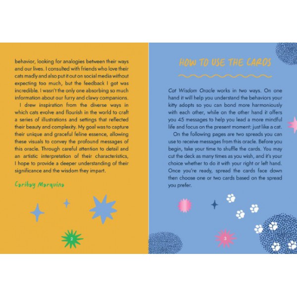 Cat Wisdom Oracle by Albertina Esquisabel - ship in 10-20 business days, supplied by US partner