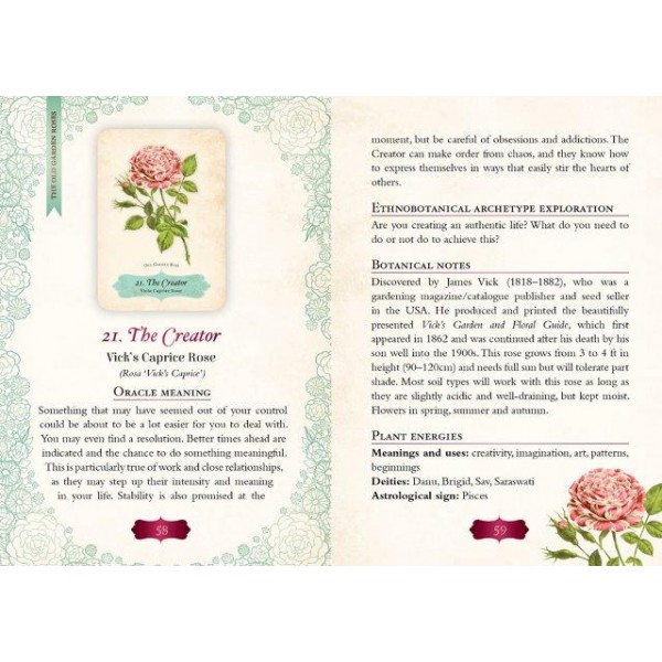 Oracle of the Roses by Cheralyn Darcey - ship in 10-20 business days, supplied by US partner