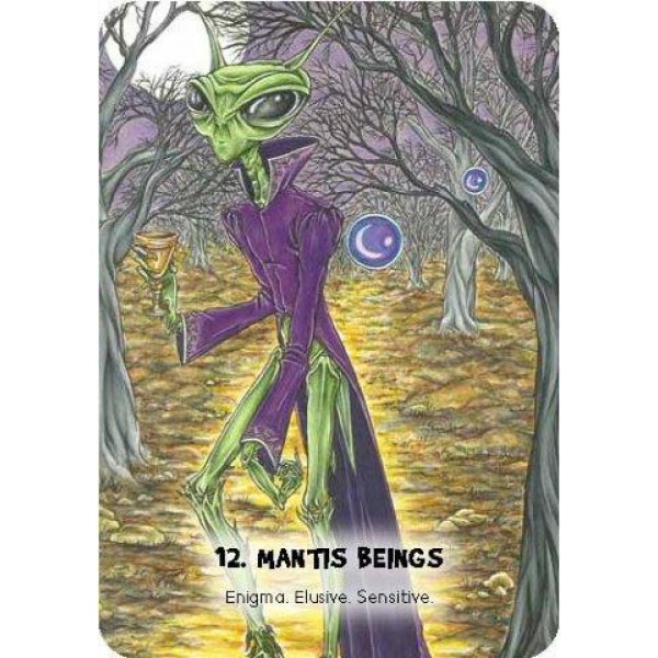 Mystic Martian Oracle by Lisa Porter - ship in 10-20 business days, supplied by US partner