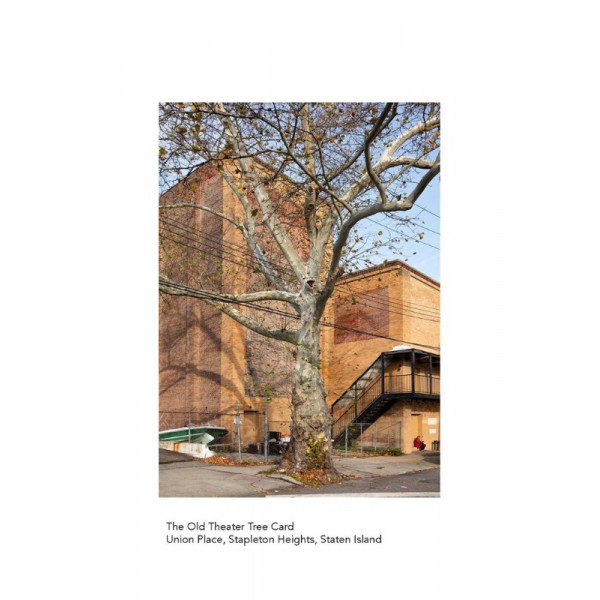 The New York City Street Tree Tarot by Matthew Lopez-Jensen - ship in 10-20 business days, supplied by US partner