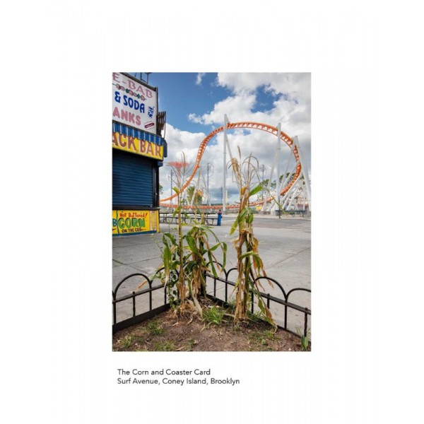 The New York City Street Tree Tarot by Matthew Lopez-Jensen - ship in 10-20 business days, supplied by US partner