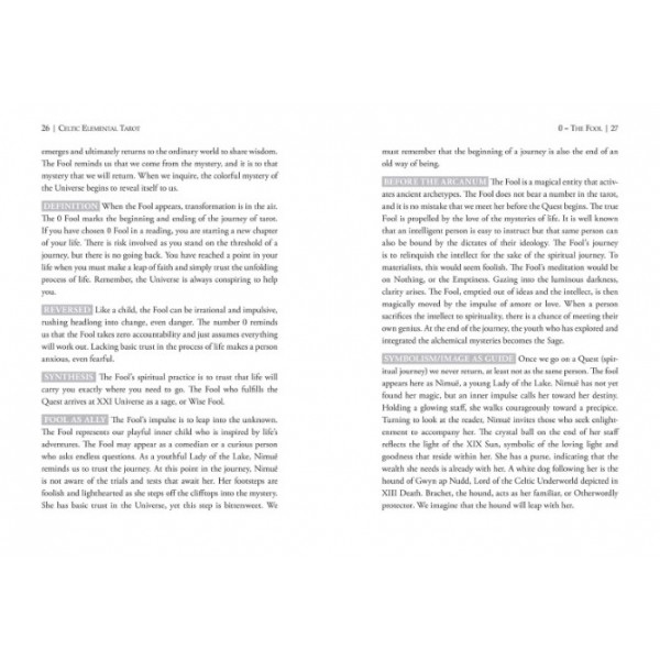 Celtic Elemental Tarot by Ayn Cates Sullivan - ship in 10-20 business days, supplied by US partner