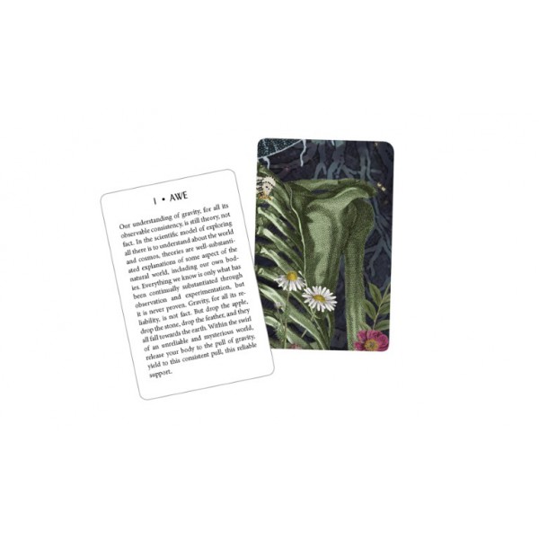 The Body Oracle Deck by Abigail Rose Clarke - ship in 10-20 business days, supplied by US partner