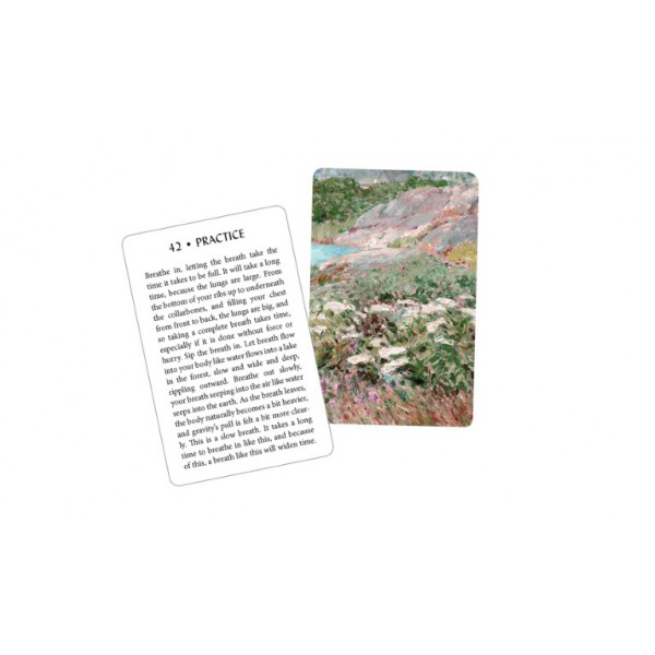 The Body Oracle Deck by Abigail Rose Clarke - ship in 10-20 business days, supplied by US partner