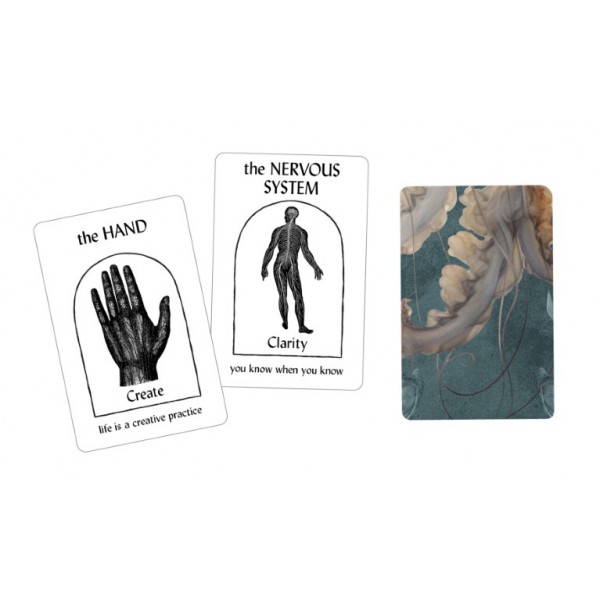 The Body Oracle Deck by Abigail Rose Clarke - ship in 10-20 business days, supplied by US partner